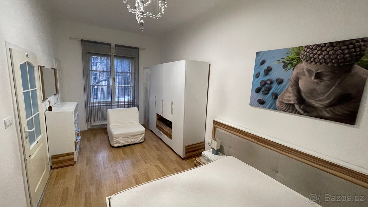 2+1 VINOHRADY, BALKON, CENTRUM - 13