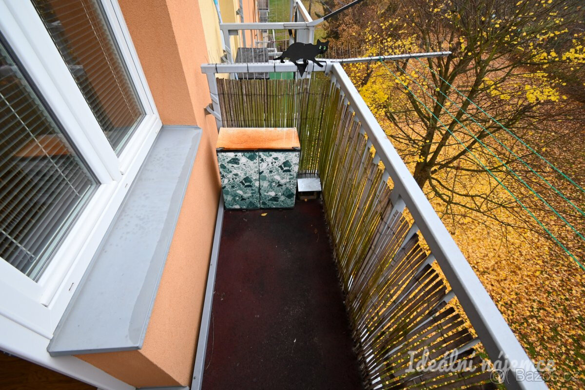 Pronájem bytu 3+1, Vysoká, Štýřice, 21.900 Kč/měs, 58 m2 - 13