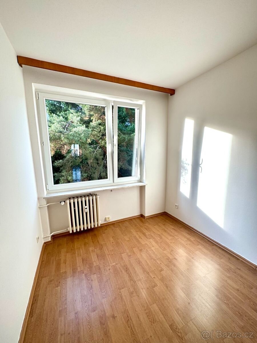 Pronájem bytu 3+kk - 13