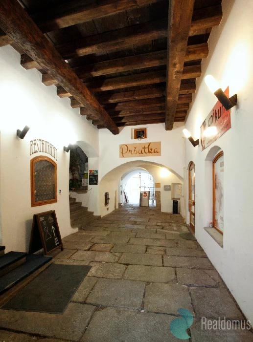 Pronájem restaurace, ulice Česká, České Budějovice - 13