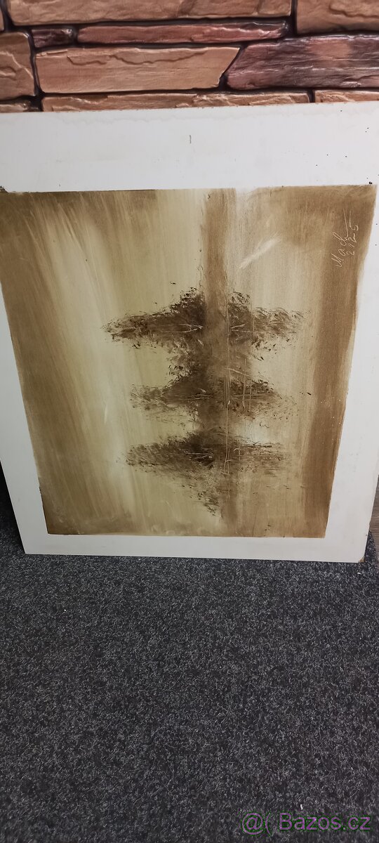 Obraz v rámu - 13