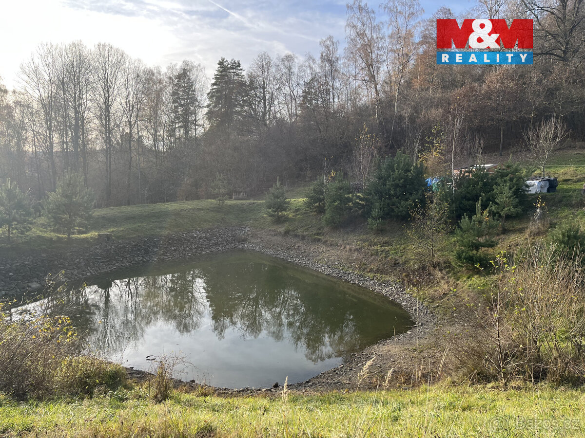 Prodej pozemku, 8197 m², Přídolí - 13