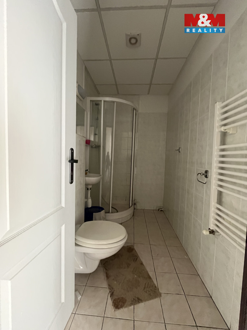 Prodej rodinného domu, 600 m², Zásada - 13