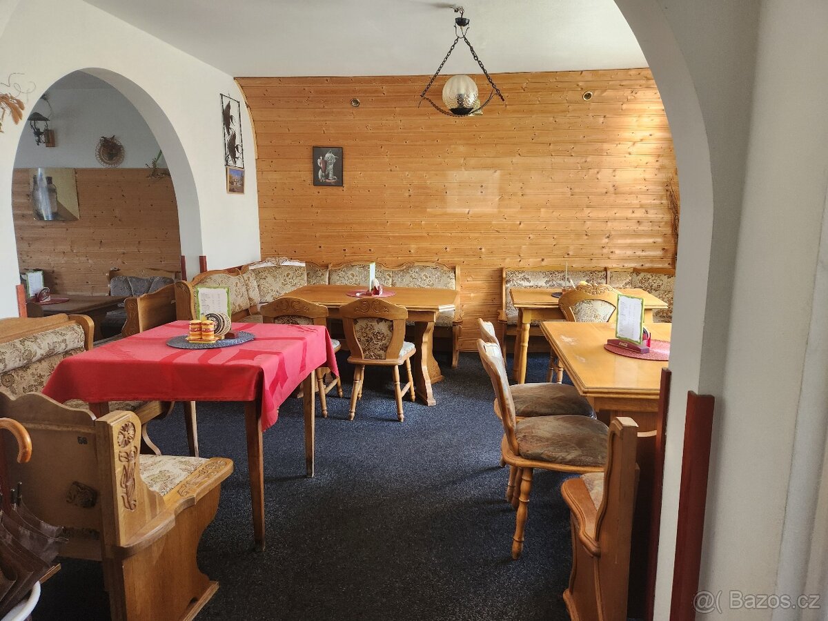 Prodej rodinného domu s restaurací v obci Cínovec - 13