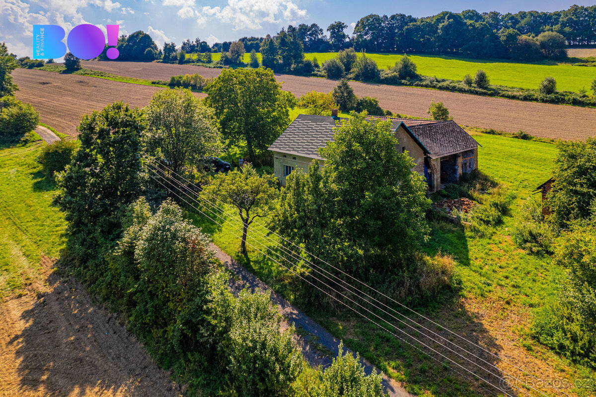 Prodej pozemků se stavbou, Janovice - 13