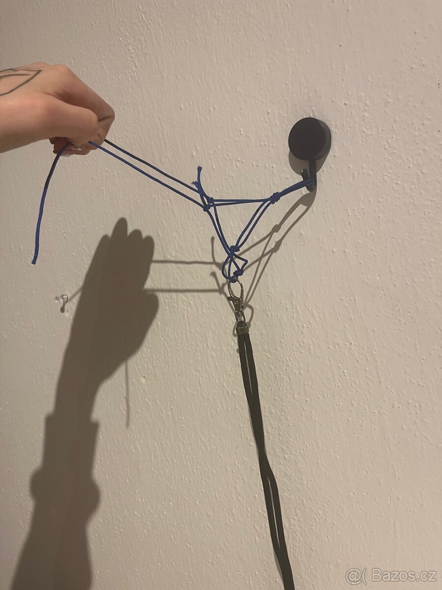 Hobby horse - 13