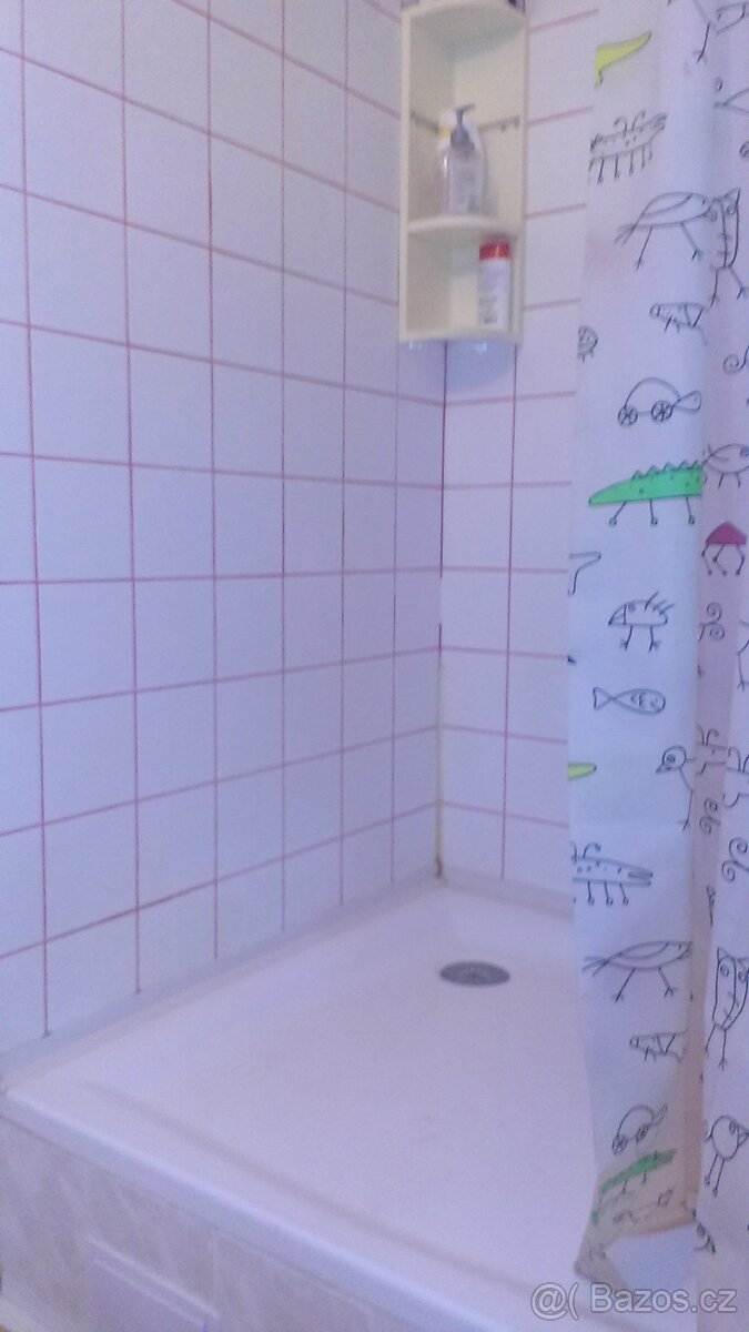 dva pokoje pro studenty Kr.pole ul. Tyršova Bez RK - 13