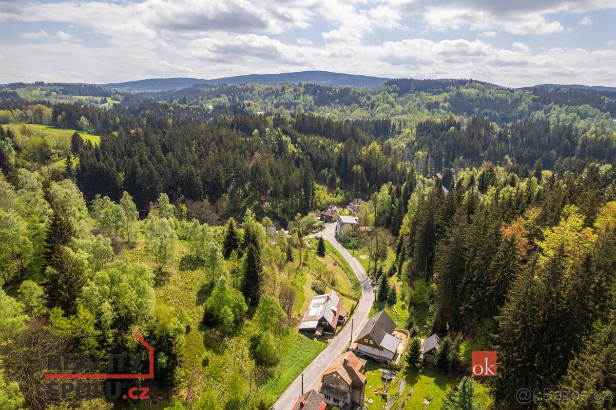 Prodej, domy/chalupa, 214 m2, Jindřichov 72, 46602 Lučany na - 13