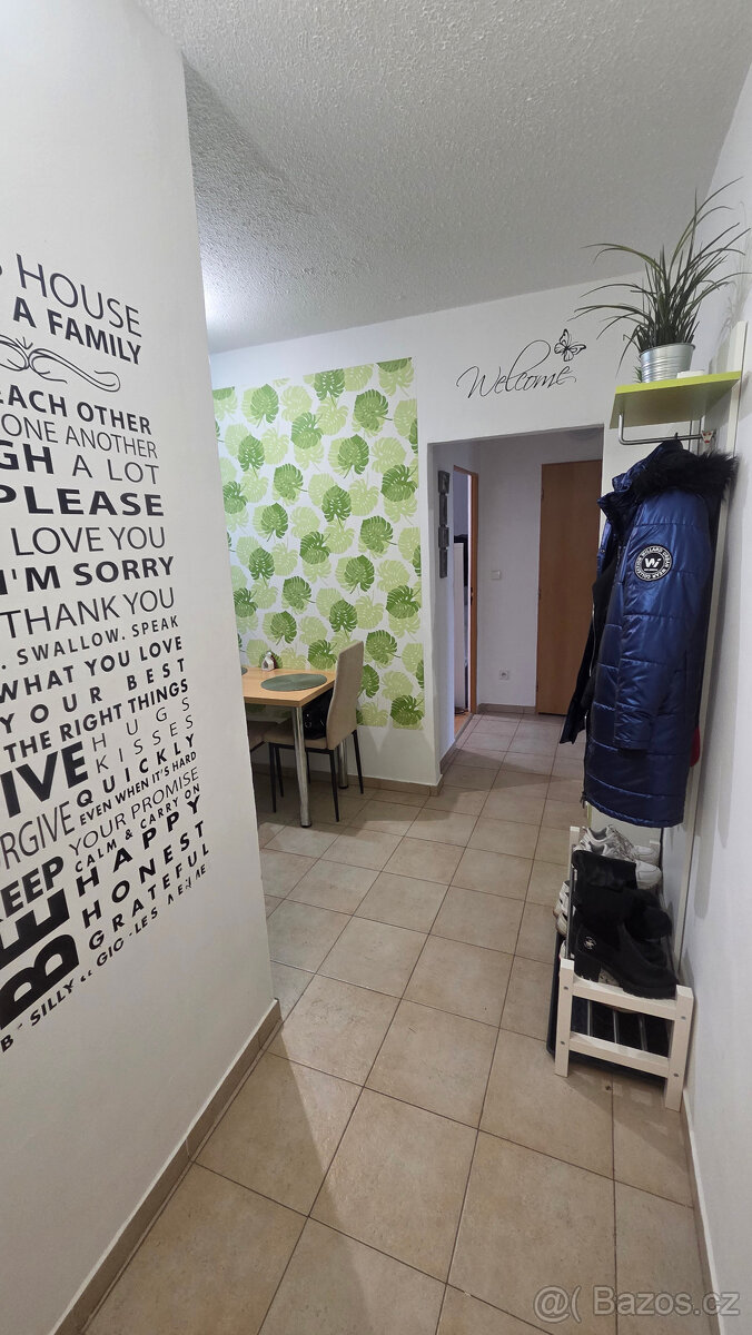 Prodej bytu 2+1 Třebíč - 13