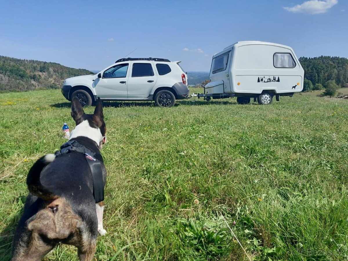 Niewiadow N126E - 13