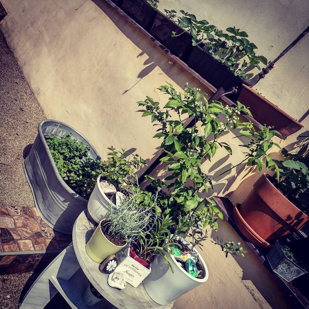 Truhluiky aj na zahradku - 13