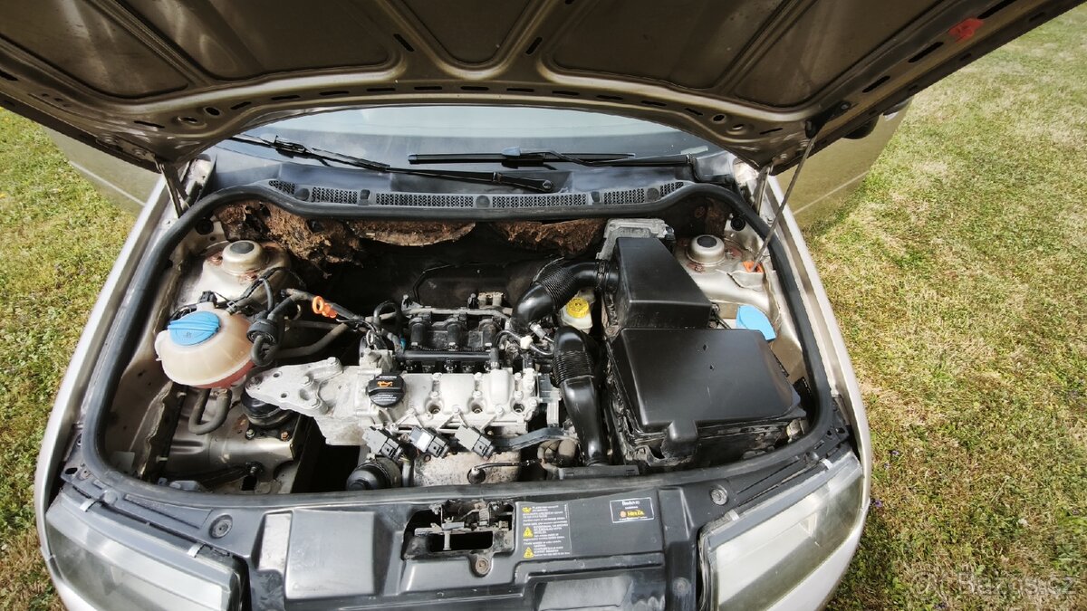Fabia - 13
