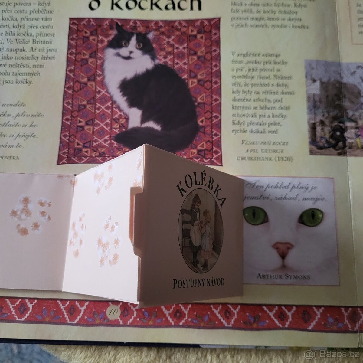 KOČKY pro děti - 13