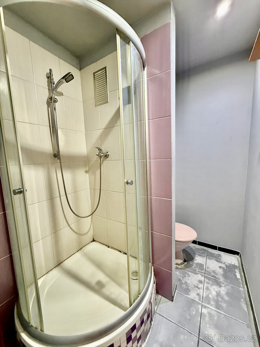 Prodej, 1+1 42 m2, Švabinského, Sokolov - 13