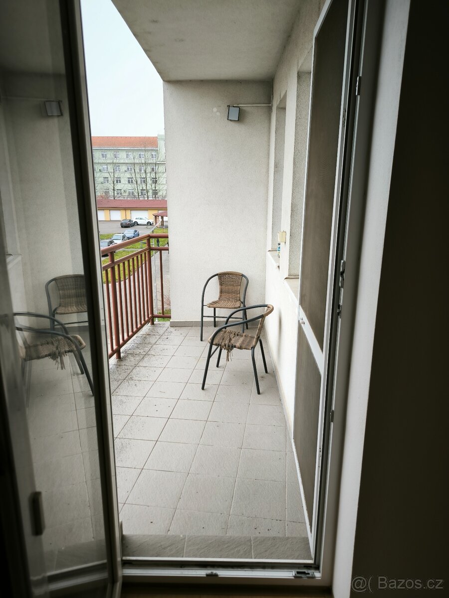 Pronájem bytu Břeclav - 13