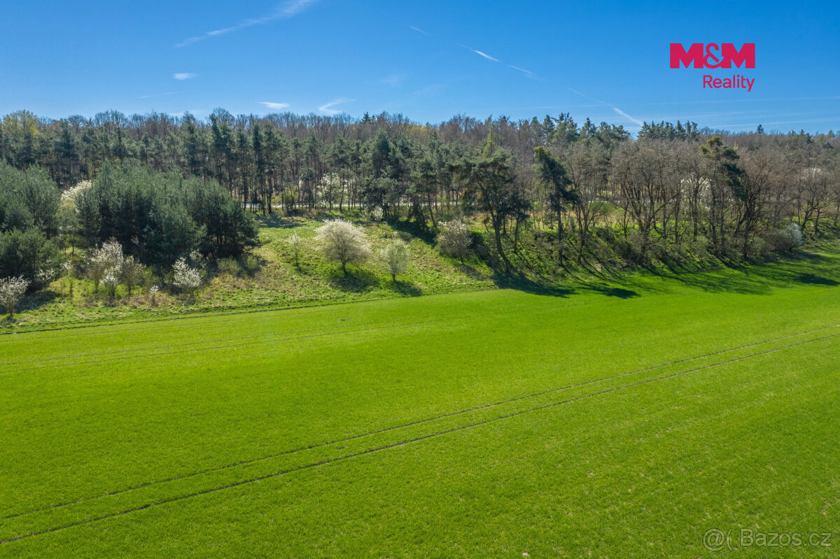 Prodej pole, 8786 m², Benátky nad Jizerou - 13