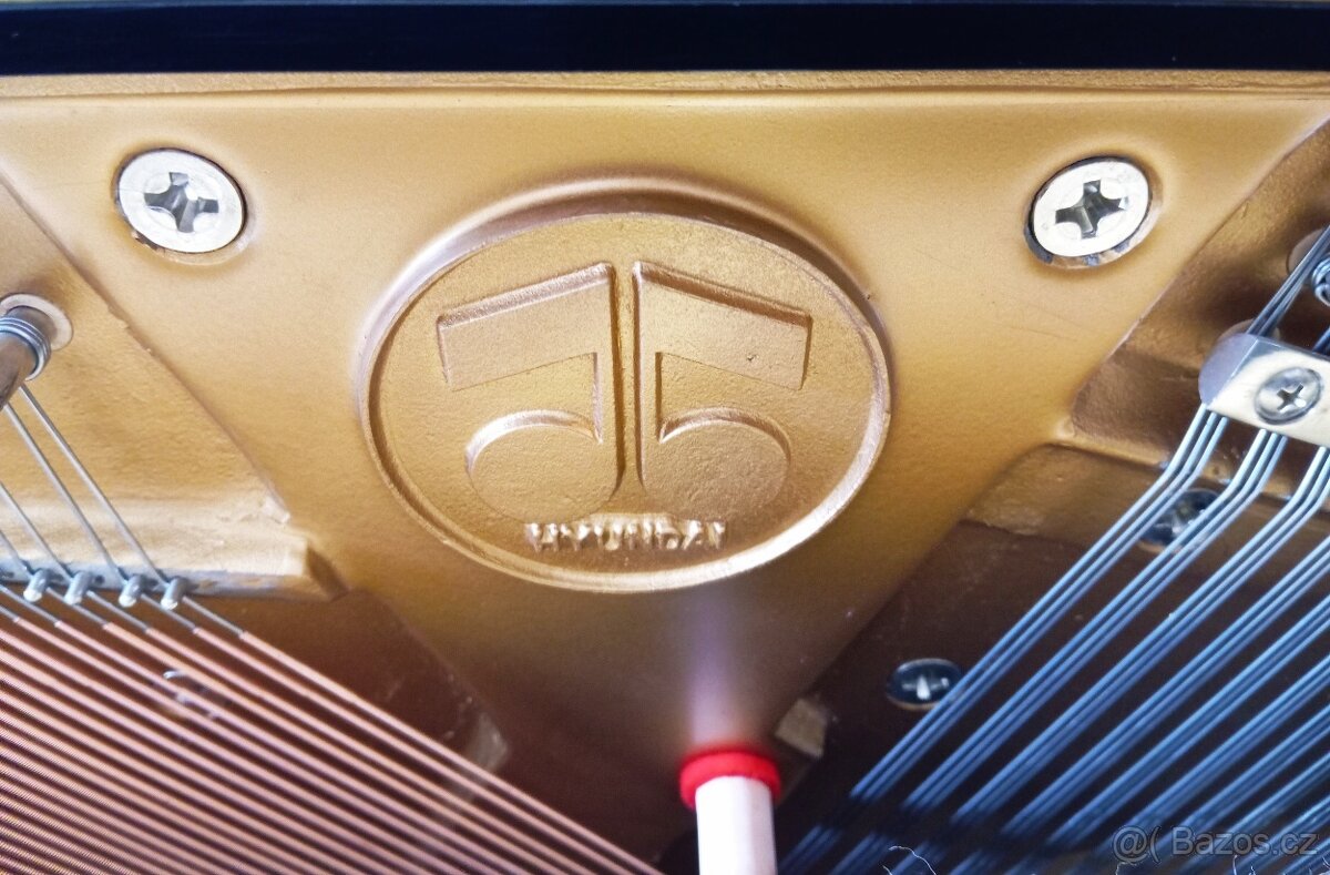 Hyundai mod.120-Dovoz i na Štědrý den 24.12. - 13