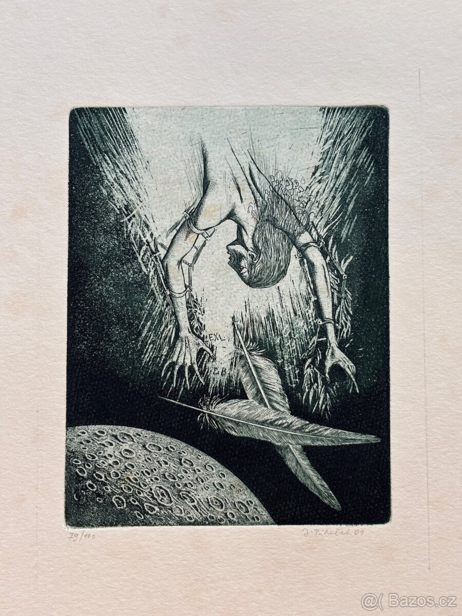 Jindrich Pilecek - 13