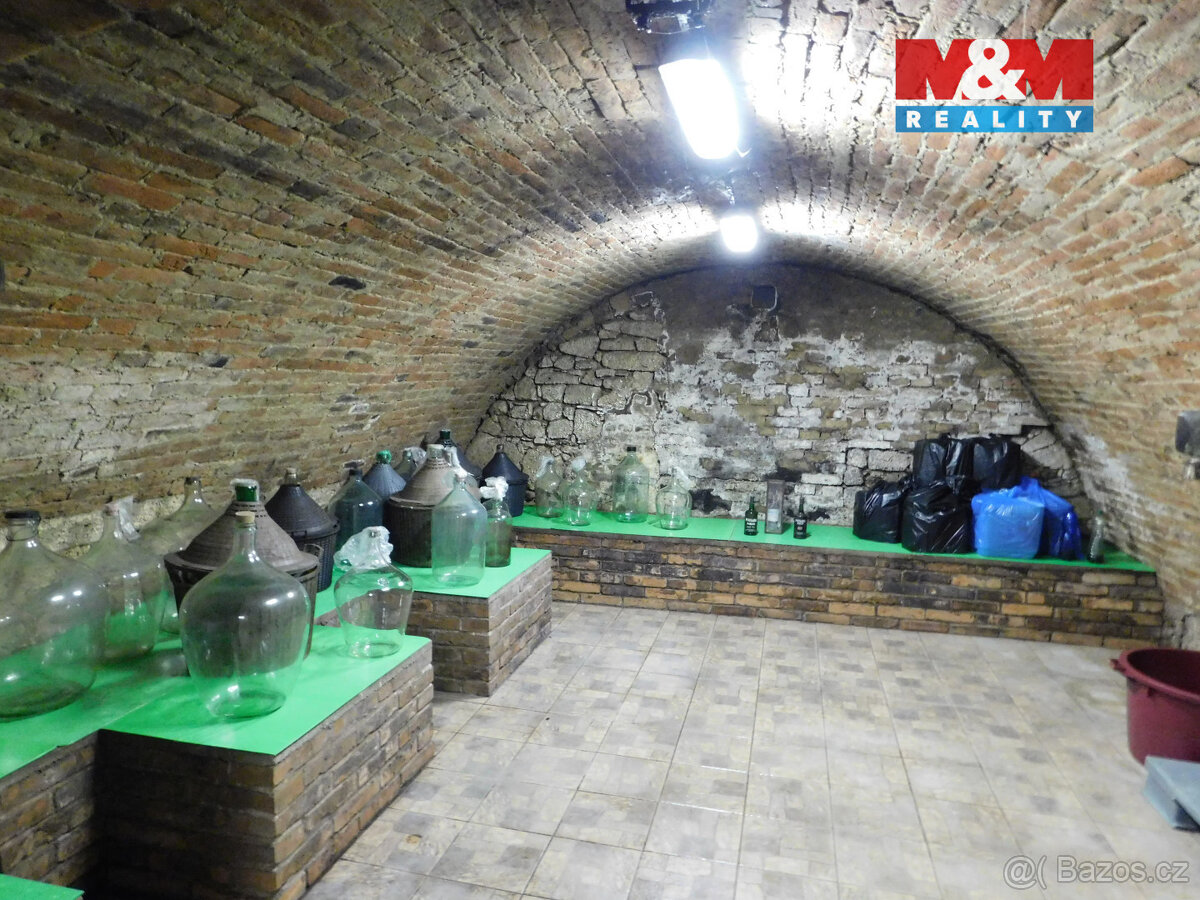 Prodej RD o dvou bytových jednotkách v Březí u Mikulova - 13