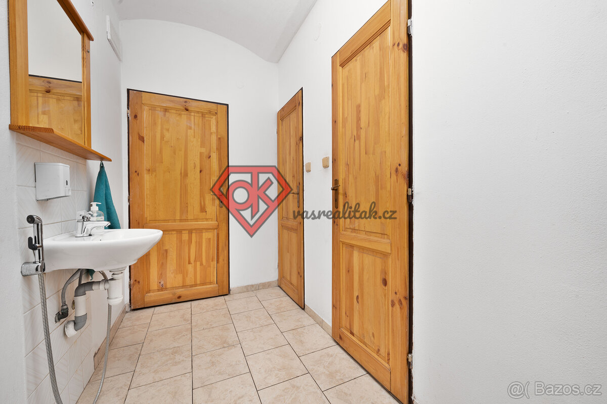 PRODEJ - penzion Hanka v Orličkách - 13