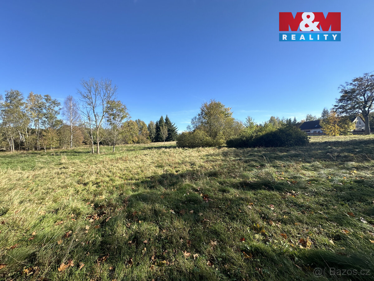 Prodej vodní plochy v Novém Městě pod Smrkem - 13