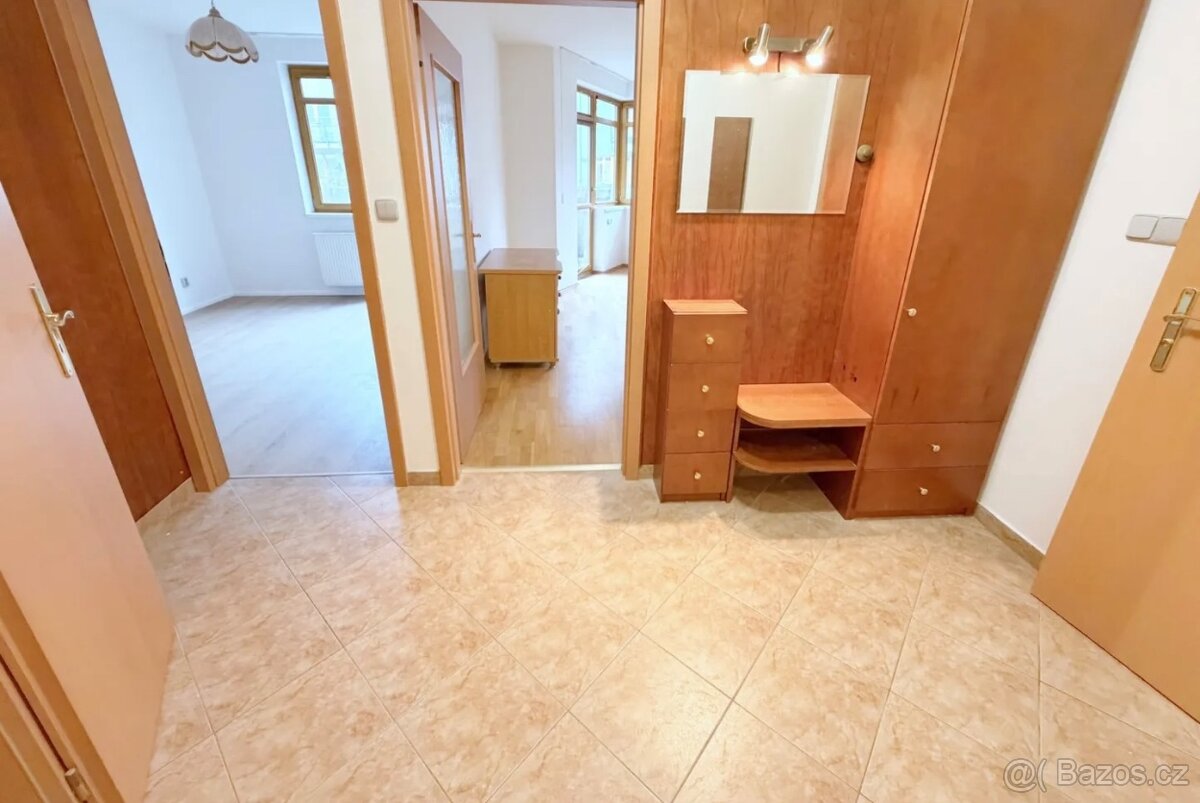 Pronájem bytu 2+kk - 13