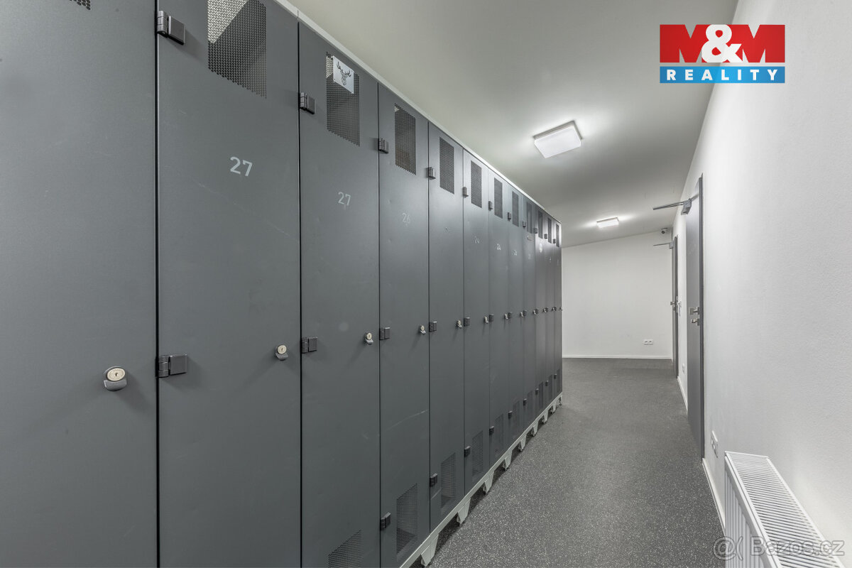 Prodej bytu 1+kk, 29 m², Janov - 13