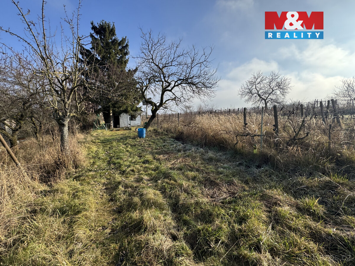 Prodej chaty, Hrušovany u Brna - 13