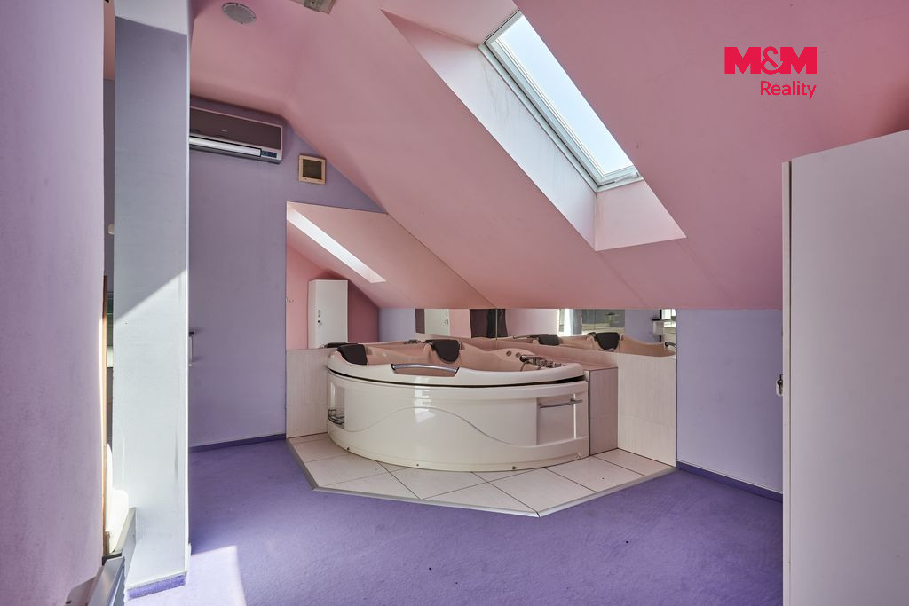 Pronájem obchodního objektu, 365 m², Drslavice - 13