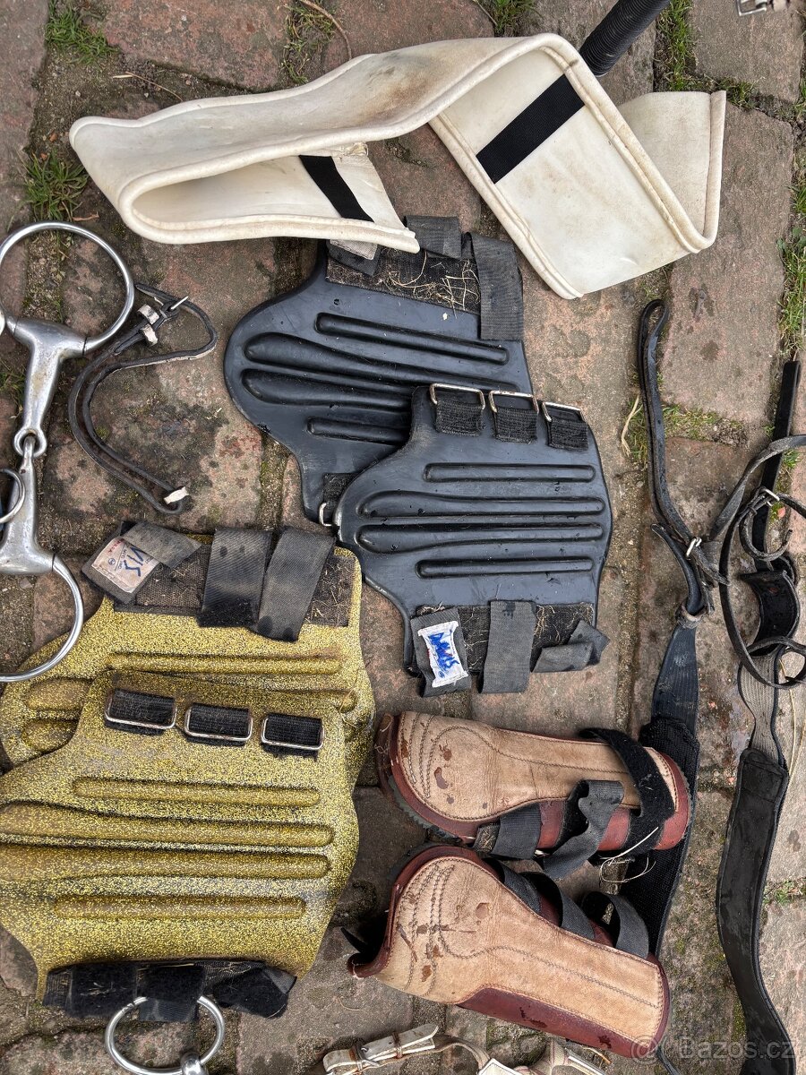 Velký dostihový set - 13