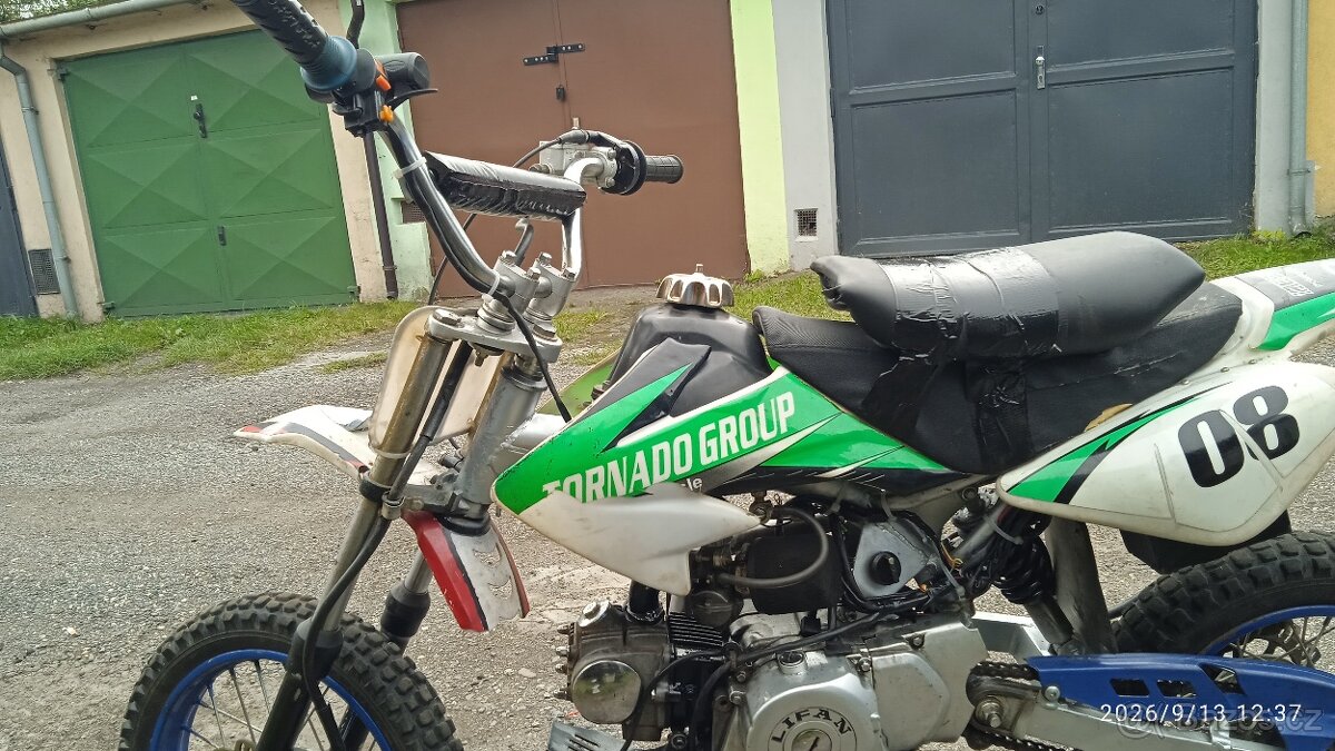 Prodám pitbeak - 13