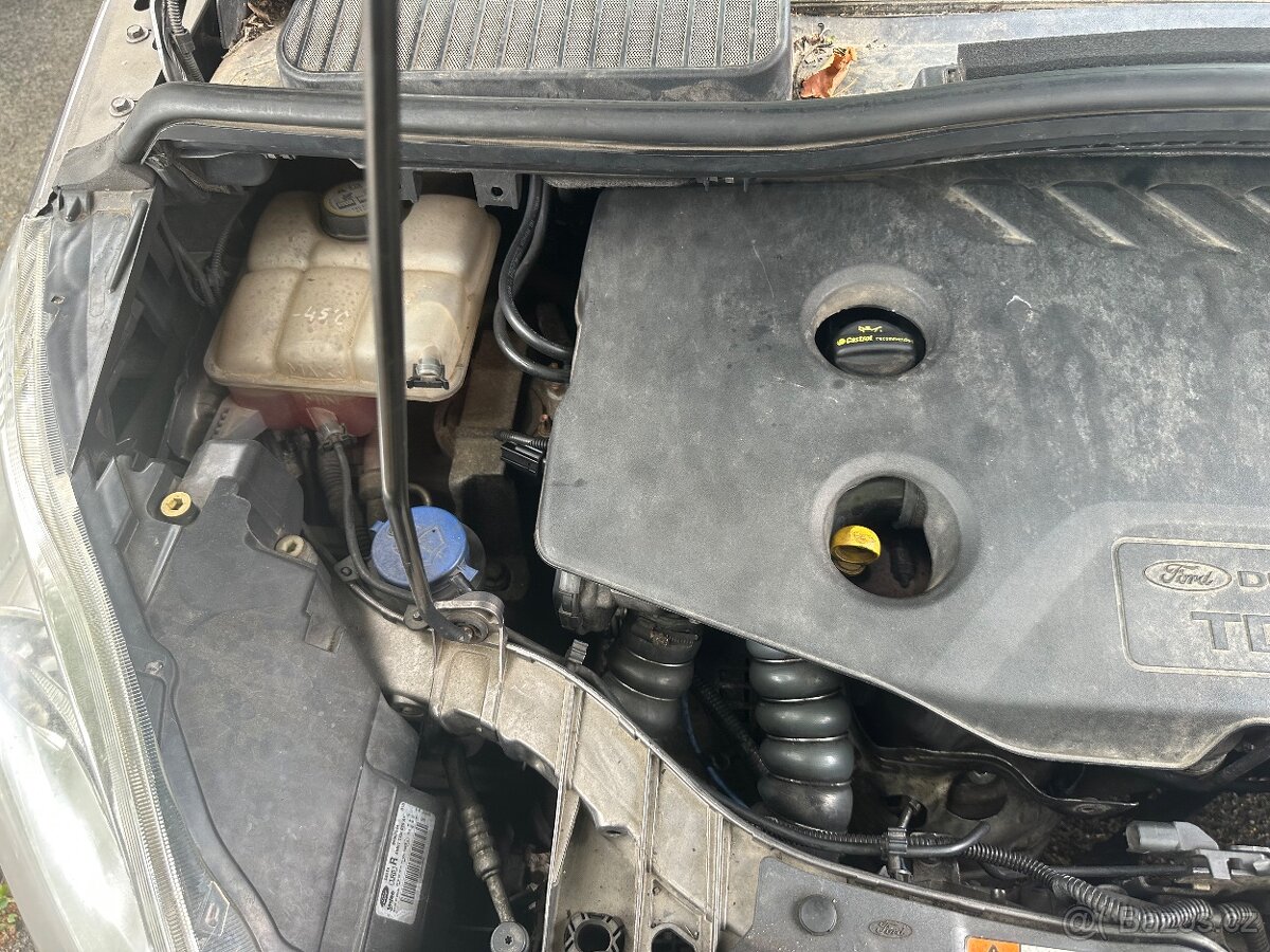 Forb grand c-max - 13