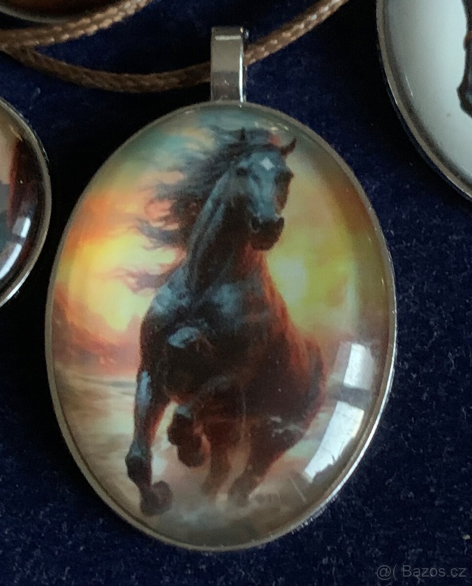 tématika. koně - 13