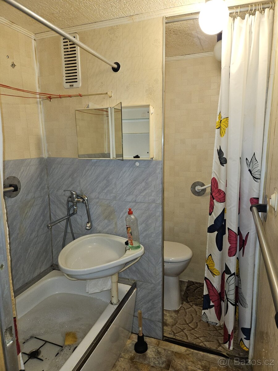Pronájem bytu 1+1 Mariánské lázně - 13