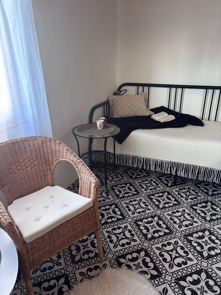 Prodej zděné rekreační chaty, Planá - Strkov - 13