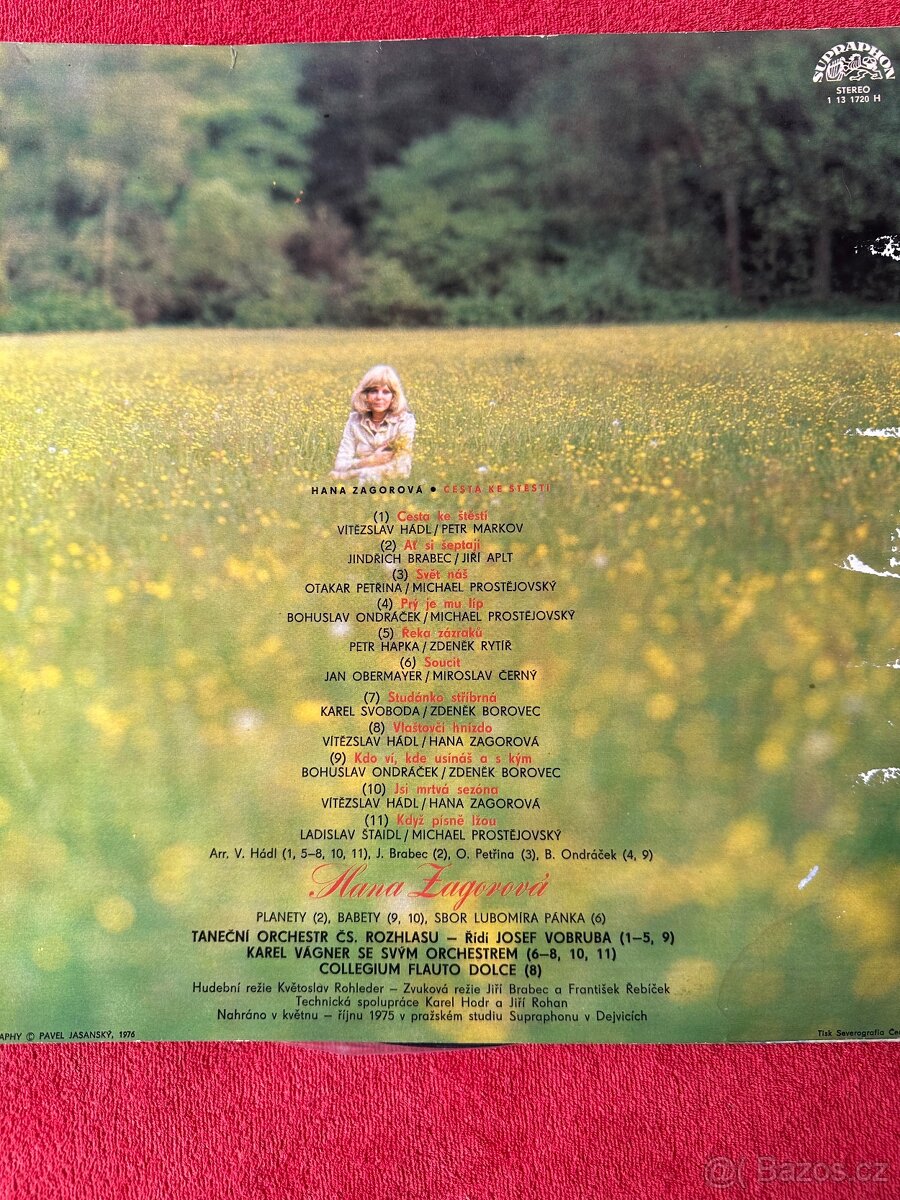 LP Desky-vinyl - 13