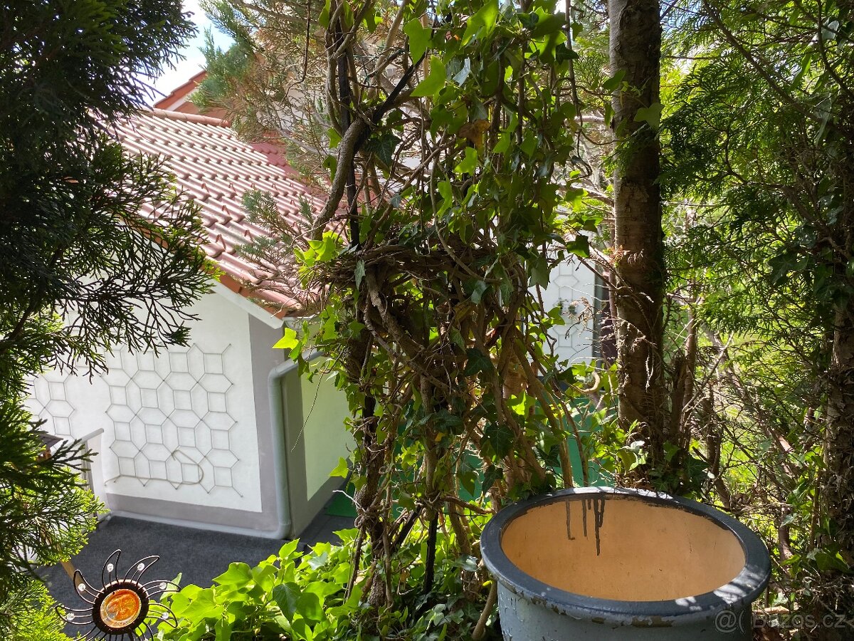 PRODÁM NEBO PRONAJMU DÚM V REGENU-SRN-3 BYTY - 13