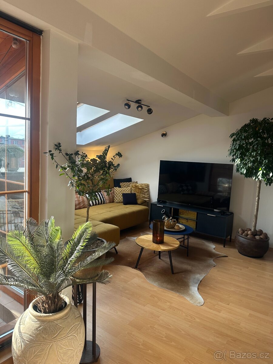 Pronájem nadstandardního bytu 3+kk s terasou v srdci Opavy - 13
