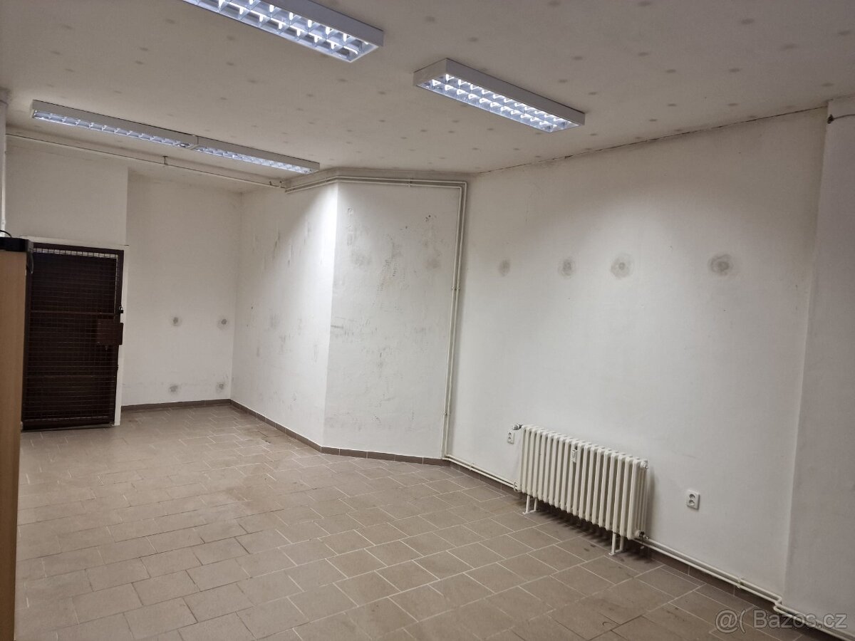 Přenechání, pronájem provozovny - 13