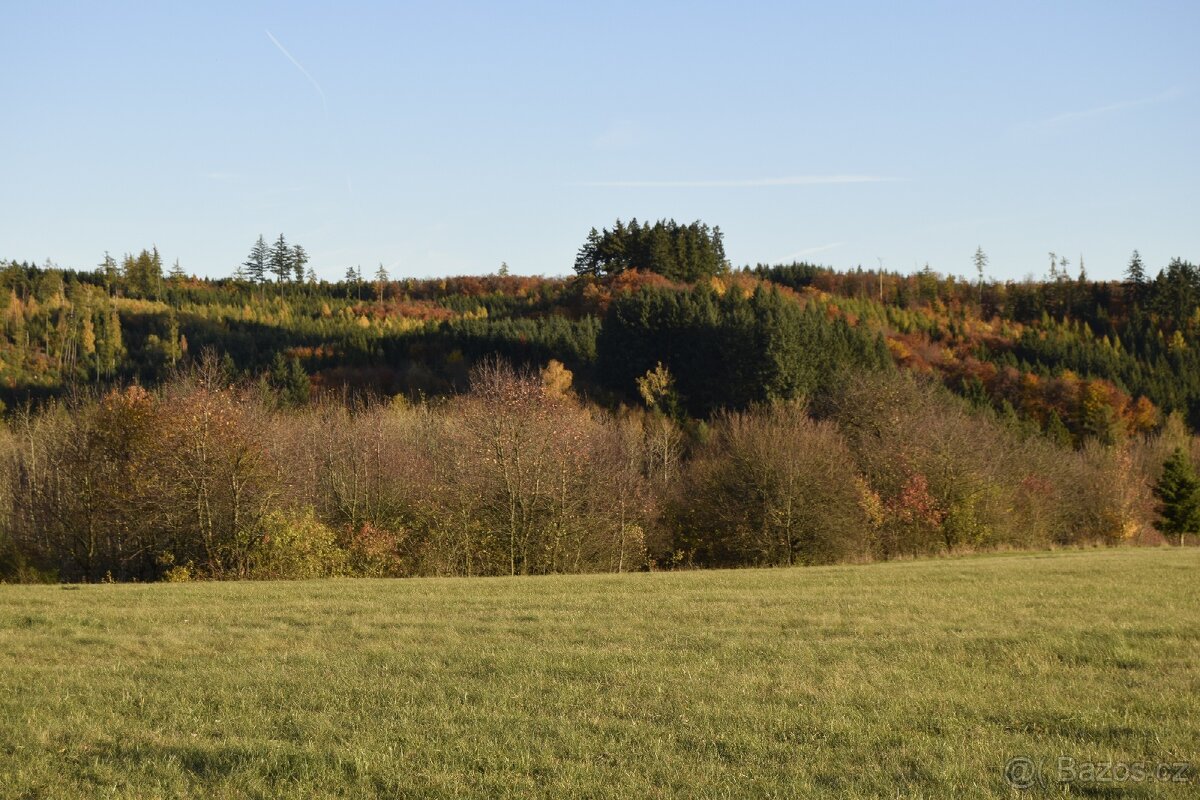 Zrcadlovka Nikon D3300 - 13