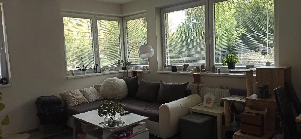 Pronájem 2+kk, A. Rašína Olomouc - 13