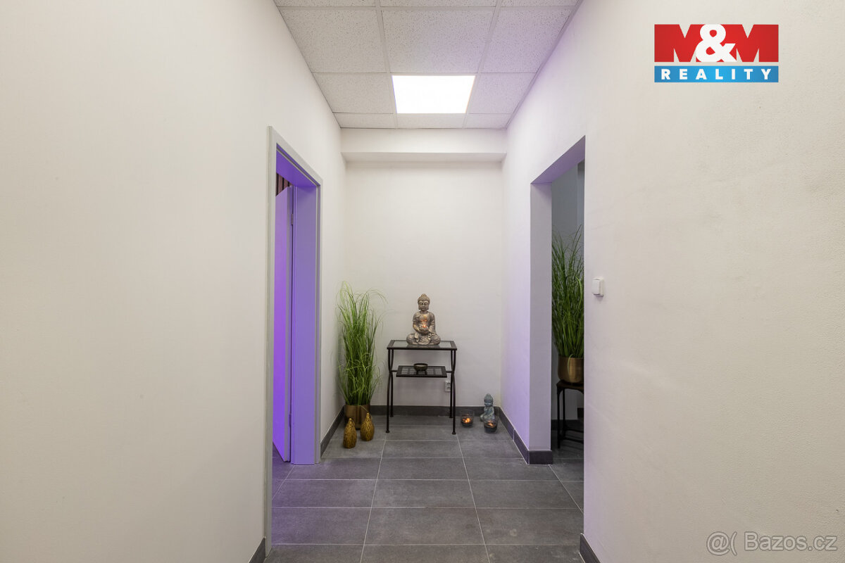 Pronájem kancelářského prostoru, 166 m², Louny, ul. Březinov - 13