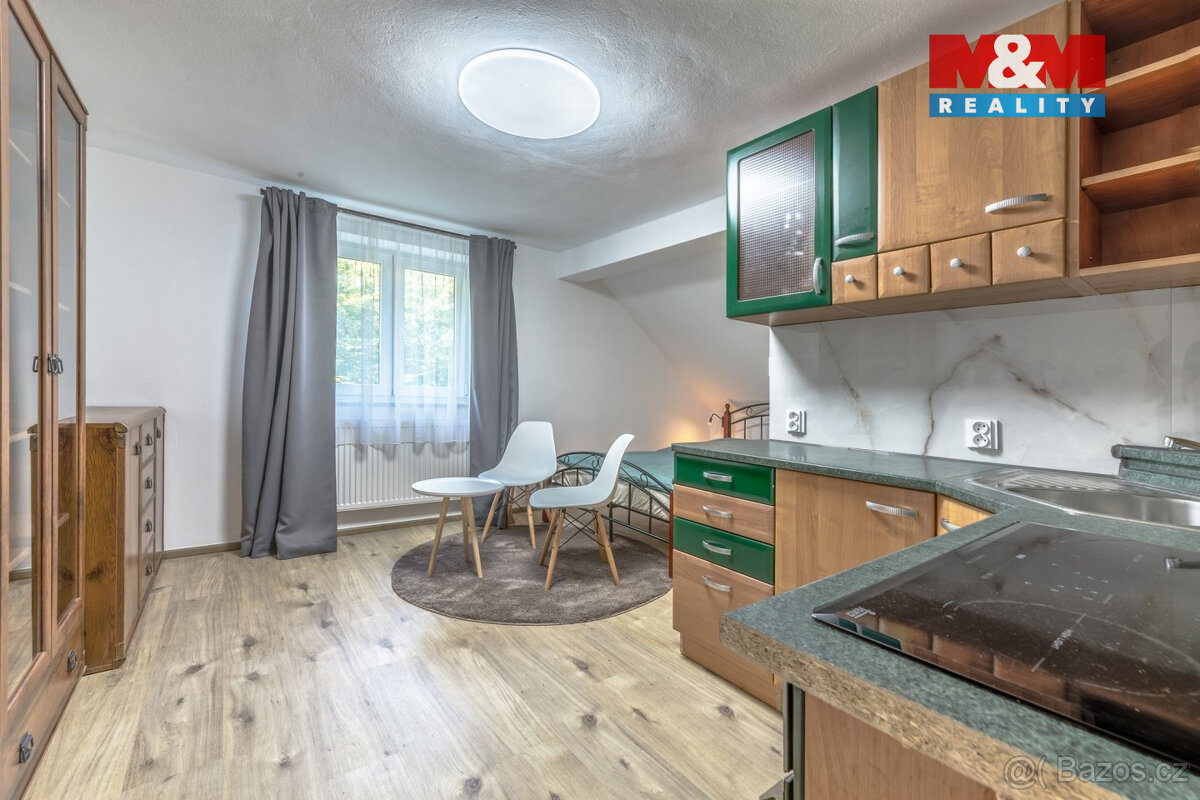 Prodej rodinného penzionu, Prachatice - Staré Prachatice - 13
