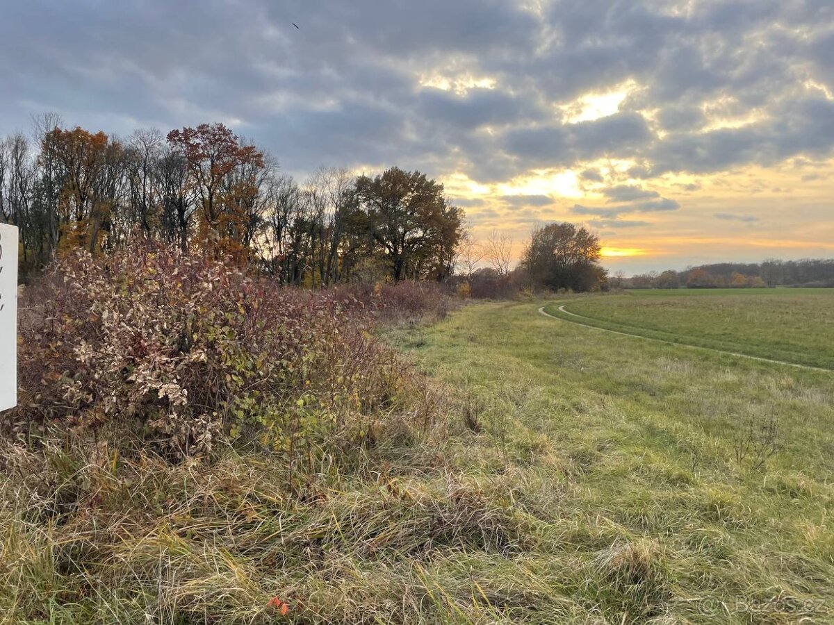 Lúka Malé Leváre, 26 385 m² pri Morave - 13