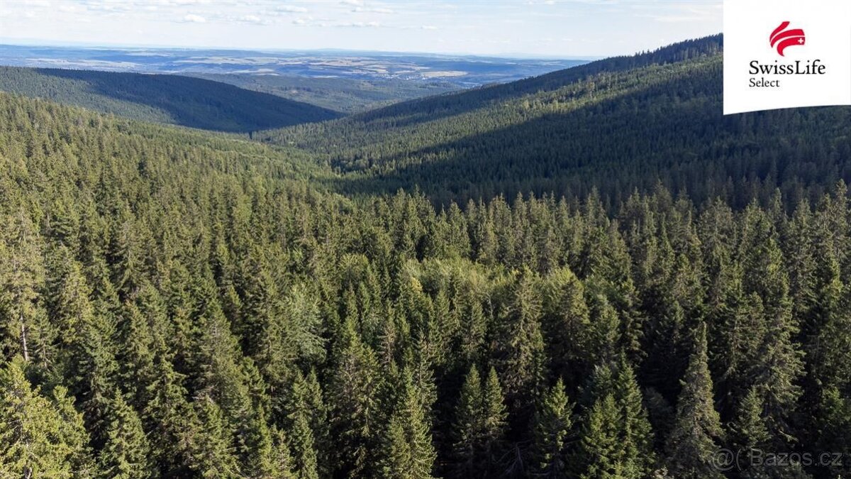 Prodej komerčního pozemku 1558 m2, Stará Ves - 13