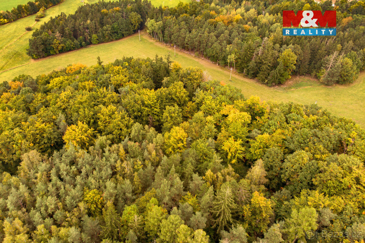 Prodej lesa, 39171 m², Ježovy - 13