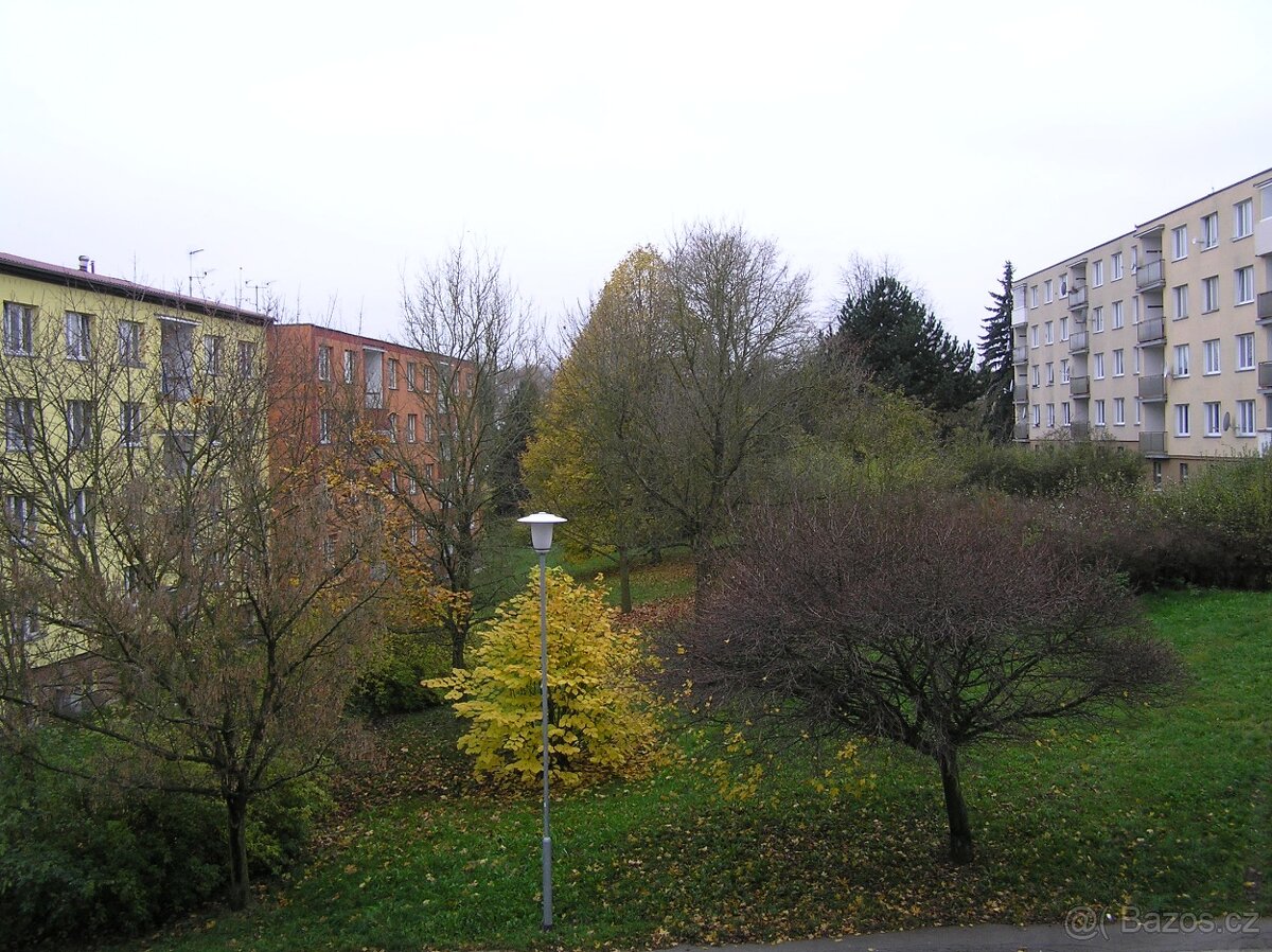 Byt 2+1 s balkonem - 13