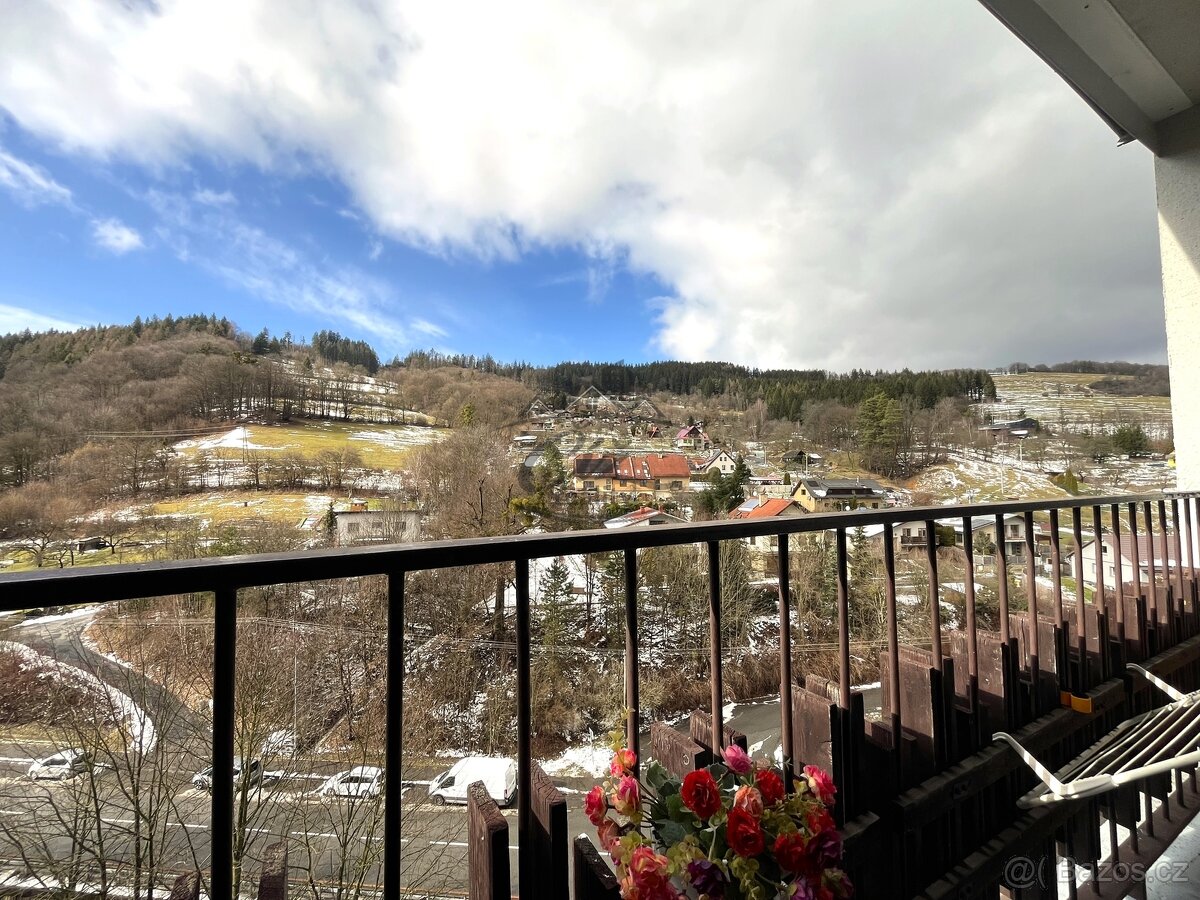 Byt 3+1 Dolní Jasenka - 13