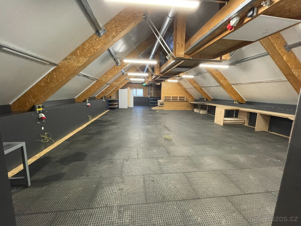 Pronájem komerční nemovitosti - 13