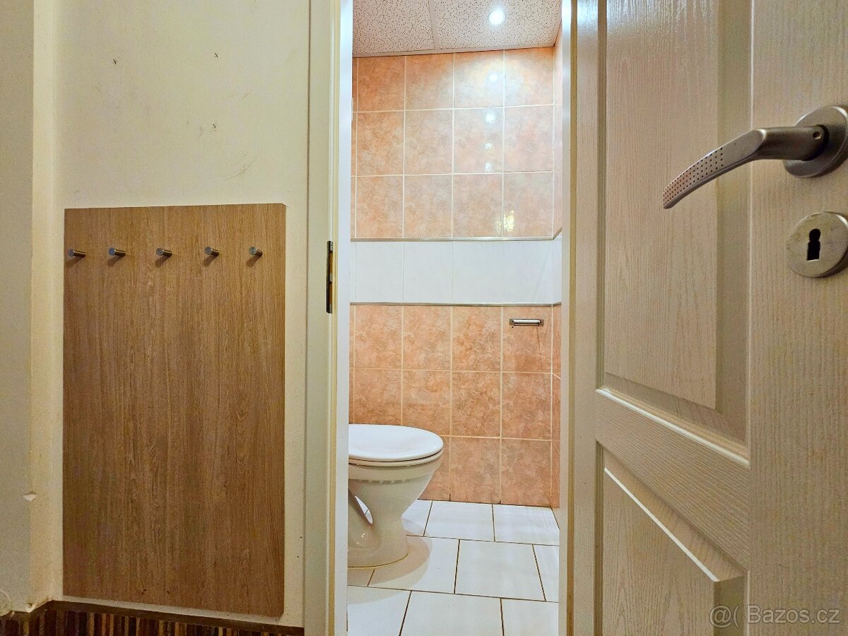 Pronájem bytu 3+1, ul. Hornická, Jirkov - 13